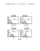 B7-H1, A NOVEL IMMUNOREGULATORY MOLECULE diagram and image