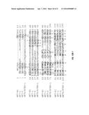 B7-H1, A NOVEL IMMUNOREGULATORY MOLECULE diagram and image