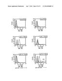 B7-H1, A NOVEL IMMUNOREGULATORY MOLECULE diagram and image