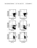 B7-H1, A NOVEL IMMUNOREGULATORY MOLECULE diagram and image