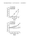 B7-H1, A NOVEL IMMUNOREGULATORY MOLECULE diagram and image