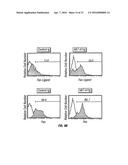 B7-H1, A NOVEL IMMUNOREGULATORY MOLECULE diagram and image