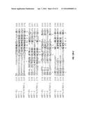 B7-H1, A NOVEL IMMUNOREGULATORY MOLECULE diagram and image