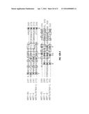 B7-H1, A NOVEL IMMUNOREGULATORY MOLECULE diagram and image