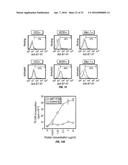 B7-H1, A NOVEL IMMUNOREGULATORY MOLECULE diagram and image