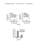 B7-H1, A NOVEL IMMUNOREGULATORY MOLECULE diagram and image