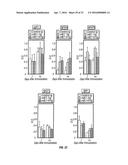 B7-H1, A NOVEL IMMUNOREGULATORY MOLECULE diagram and image