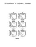 B7-H1, A NOVEL IMMUNOREGULATORY MOLECULE diagram and image