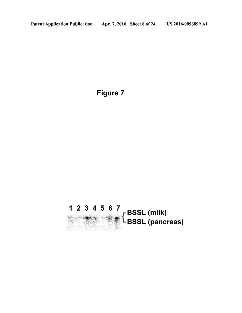 METHODS FOR TREATING JUVENILE ARTHRITIS WITH ANTI-BILE SALT-STIMULATED     LIPASE (BSSL) ANTIBODIES - diagram, schematic, and image 09