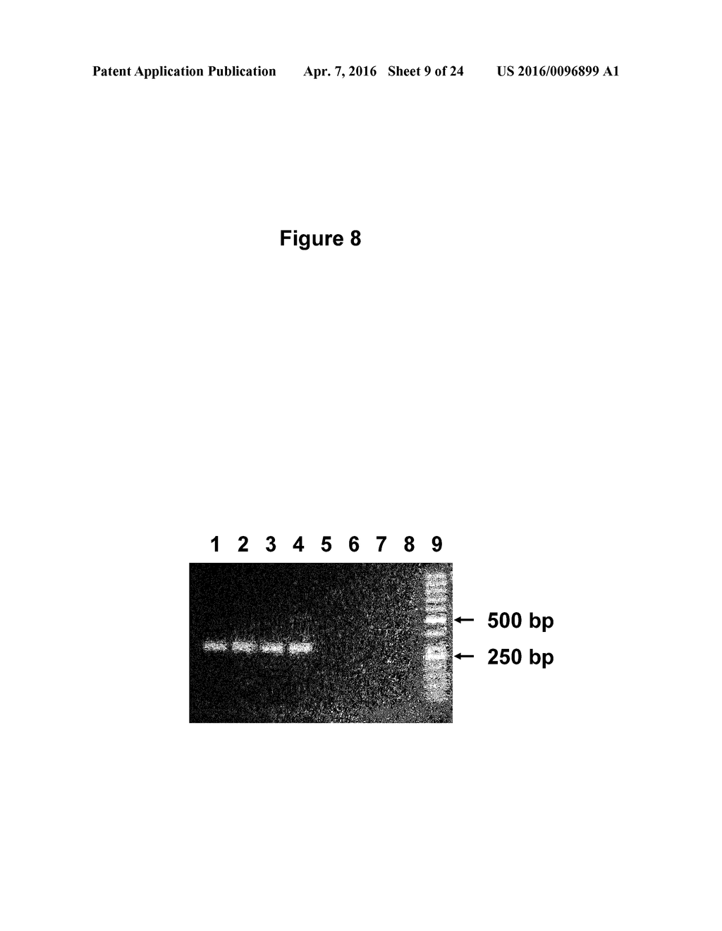 METHODS FOR TREATING JUVENILE ARTHRITIS WITH ANTI-BILE SALT-STIMULATED     LIPASE (BSSL) ANTIBODIES - diagram, schematic, and image 10