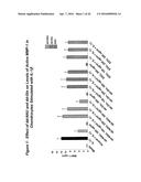 Chemically Modified Dendrimers diagram and image