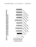 Chemically Modified Dendrimers diagram and image