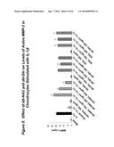 Chemically Modified Dendrimers diagram and image