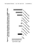 Chemically Modified Dendrimers diagram and image