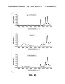 COMPOSITE MATERIALS CONTAINING STRUCTURAL POLYSACCHARIDES AND MACROCYCLIC     COMPOUNDS FORMED FROM IONIC LIQUID COMPOSITIONS diagram and image