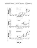 COMPOSITE MATERIALS CONTAINING STRUCTURAL POLYSACCHARIDES AND MACROCYCLIC     COMPOUNDS FORMED FROM IONIC LIQUID COMPOSITIONS diagram and image