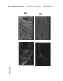 COMPOSITE MATERIALS CONTAINING STRUCTURAL POLYSACCHARIDES AND MACROCYCLIC     COMPOUNDS FORMED FROM IONIC LIQUID COMPOSITIONS diagram and image