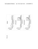 COMPOSITE MATERIALS CONTAINING STRUCTURAL POLYSACCHARIDES AND MACROCYCLIC     COMPOUNDS FORMED FROM IONIC LIQUID COMPOSITIONS diagram and image