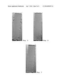 SILICONE STABILIZERS FOR RIGID POLYURETHANE OR POLYISOCYANURATE FOAMS diagram and image