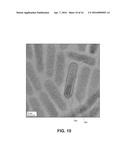 SEMICONDUCTOR STRUCTURE HAVING NANOCRYSTALLINE CORE AND NANOCRYSTALLINE     SHELL PAIRING WITH COMPOSITIONAL TRANSITION LAYER diagram and image