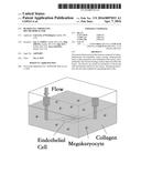 BLOOD-CELL PRODUCING BIO-MICROREACTOR diagram and image