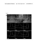 BLOOD-CELL PRODUCING BIO-MICROREACTOR diagram and image