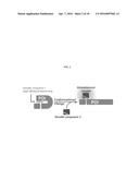 INTERNAL PROTEIN TAGS diagram and image