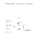 INTERNAL PROTEIN TAGS diagram and image