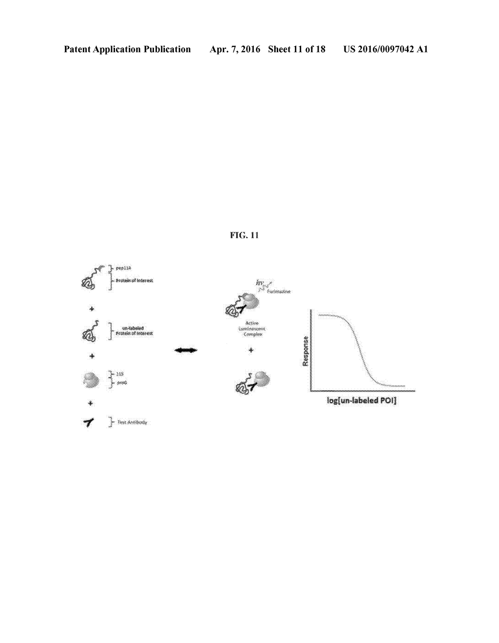 INTERNAL PROTEIN TAGS - diagram, schematic, and image 12