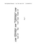 HIGH THROUGHPUT ASSAY FOR MONITORING AMP PRODUCTION AND AMINOACYL-tRNA     SYNTHETASE ACTIVITY diagram and image