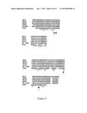 ASSAYS, METHODS AND MEANS diagram and image