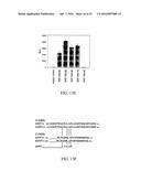 ASSAYS, METHODS AND MEANS diagram and image