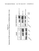 RECURRENT GENE FUSIONS IN PROSTATE CANCER diagram and image