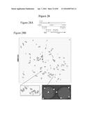 RECURRENT GENE FUSIONS IN PROSTATE CANCER diagram and image