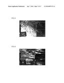 Method of Producing Co-Ni-Based Alloy diagram and image