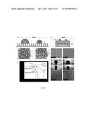 Heterogeneous Surfaces diagram and image