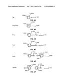 BEVELED HANDHELD COMMUNICATION DEVICE EDGE diagram and image