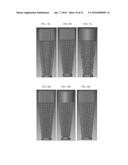 SURFACE MODIFIED UNIT CELL LATTICE STRUCTURES FOR OPTIMIZED SECURE     FREEFORM FABRICATION diagram and image