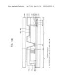 ORGANIC LIGHT EMITTING DISPLAY DEVICE diagram and image