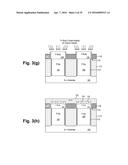 NANOTUBE SEMICONDUCTOR DEVICES diagram and image