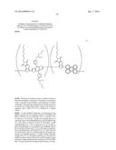 POLYMER AND SOLAR CELL USING THE SAME diagram and image