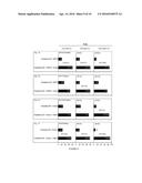 NEW COMPOSITIONS AND METHODS FOR ATTRACTING AND STIMULATING FEEDING BY     MICE AND RATS diagram and image