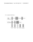 CANOLA MEALS AND METHODS OF PRODUCING CANOLA MEAL diagram and image