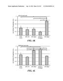 NANOMATERIALS FOR THE INTEGRATION OF SOFT INTO HARD TISSUE diagram and image