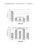 NANOMATERIALS FOR THE INTEGRATION OF SOFT INTO HARD TISSUE diagram and image