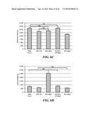 NANOMATERIALS FOR THE INTEGRATION OF SOFT INTO HARD TISSUE diagram and image