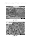 NANOMATERIALS FOR THE INTEGRATION OF SOFT INTO HARD TISSUE diagram and image