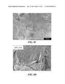 NANOMATERIALS FOR THE INTEGRATION OF SOFT INTO HARD TISSUE diagram and image