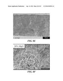 NANOMATERIALS FOR THE INTEGRATION OF SOFT INTO HARD TISSUE diagram and image