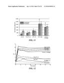 NANOMATERIALS FOR THE INTEGRATION OF SOFT INTO HARD TISSUE diagram and image